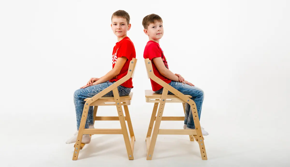 Стул массив березы  Rabbit   Wood 