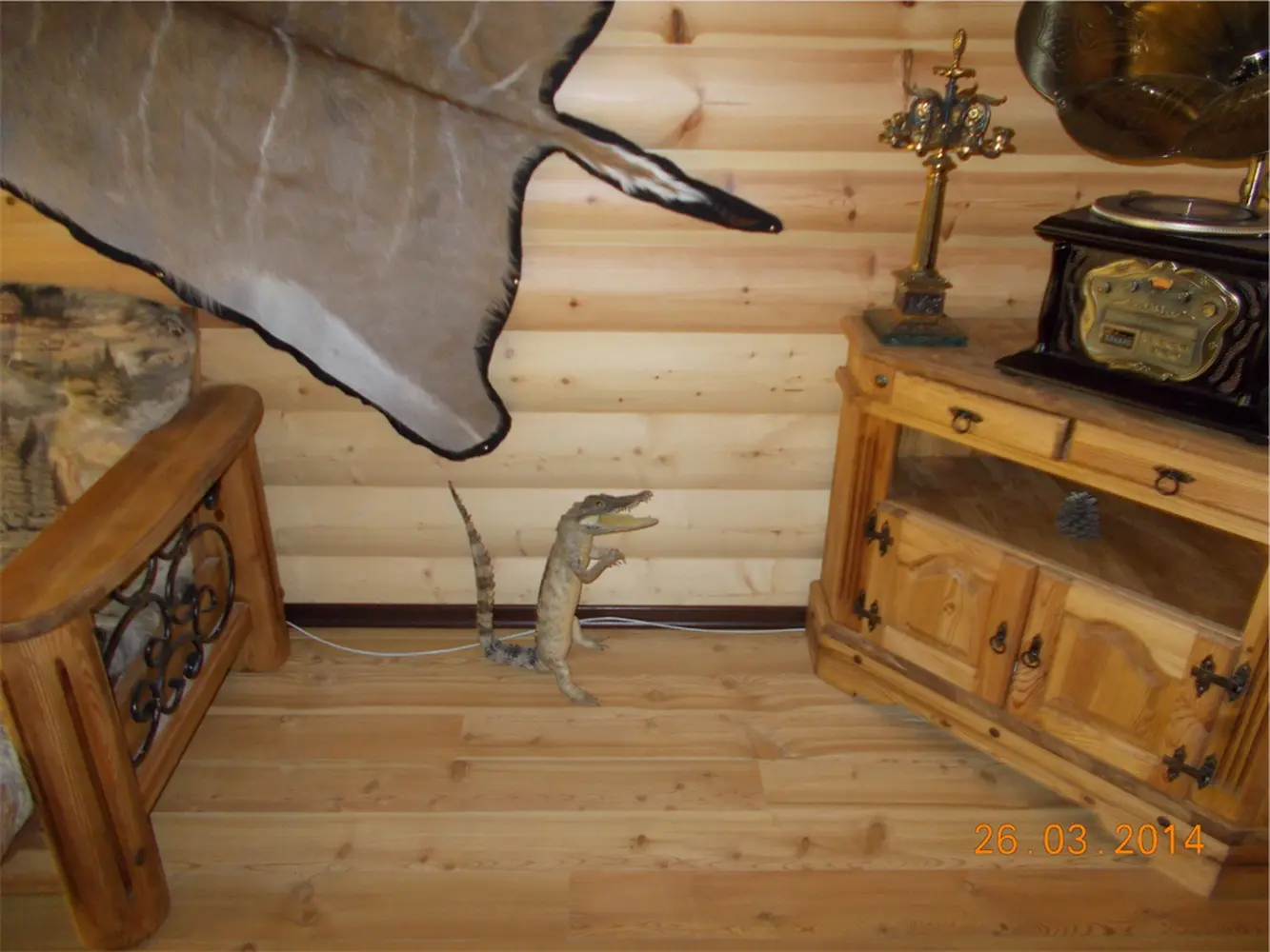 Викинг Общая